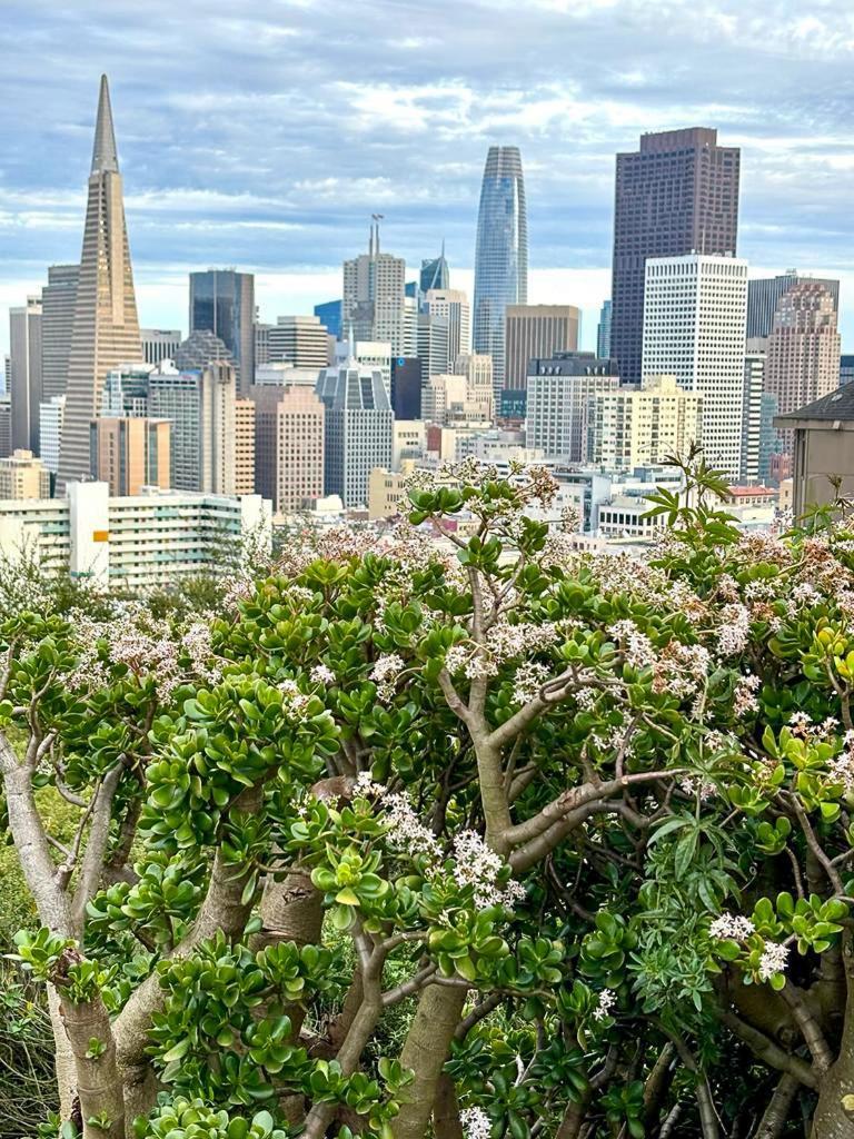 Ith San Francisco Pacific Tradewinds Backpacker Hostel Luaran gambar